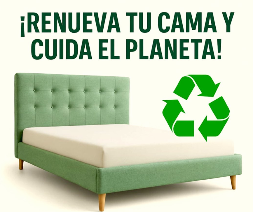 ¿Por qué retapizar tu canapé en lugar de comprar uno nuevo?